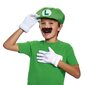 Tarvikute komplekt Super Mario Luigi цена и информация | Mänguasjad poistele | hansapost.ee