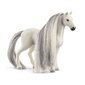 Beauty Horse Hobune Schleich Horse Club Sofia´s Beauties цена и информация | Mänguasjad tüdrukutele | hansapost.ee