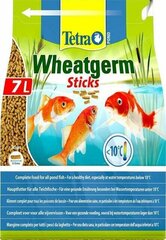 Корм для рыб в виде палочек Tetra Pond Wheatgerm Sticks, 7 л цена и информация | Корм для рыб | hansapost.ee