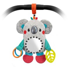 Подвесная коала с зеркалом Sassy цена и информация | Игрушки для малышей | hansapost.ee