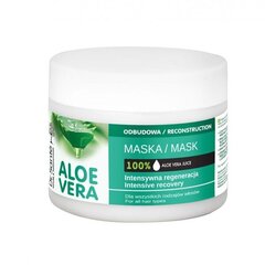 Aloe Vera Mask taastav mask kõikidele juuksetüüpidele, 300 ml hind ja info | Juuksemaskid, õlid ja seerumid | hansapost.ee