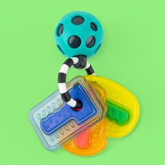 Погремушка Sassy Ключи цена и информация | Игрушки для малышей | hansapost.ee