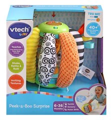 Kõristi Vtech Hideout цена и информация | Vtech Baby Игрушки | hansapost.ee