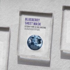 Увлажняющая листовая маска с ягодами Eunyul Blueberry, 22 мл цена и информация | Маски для лица, патчи для глаз | hansapost.ee