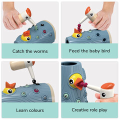 TOPBRIGHT развивающая игрушка Накорми дятла цена и информация | Развивающие игрушки для детей | hansapost.ee