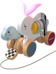 TOPBRIGHT развивающая игрушка Черепаха и заяц цена и информация | Top Bright Товары для детей и младенцев | hansapost.ee