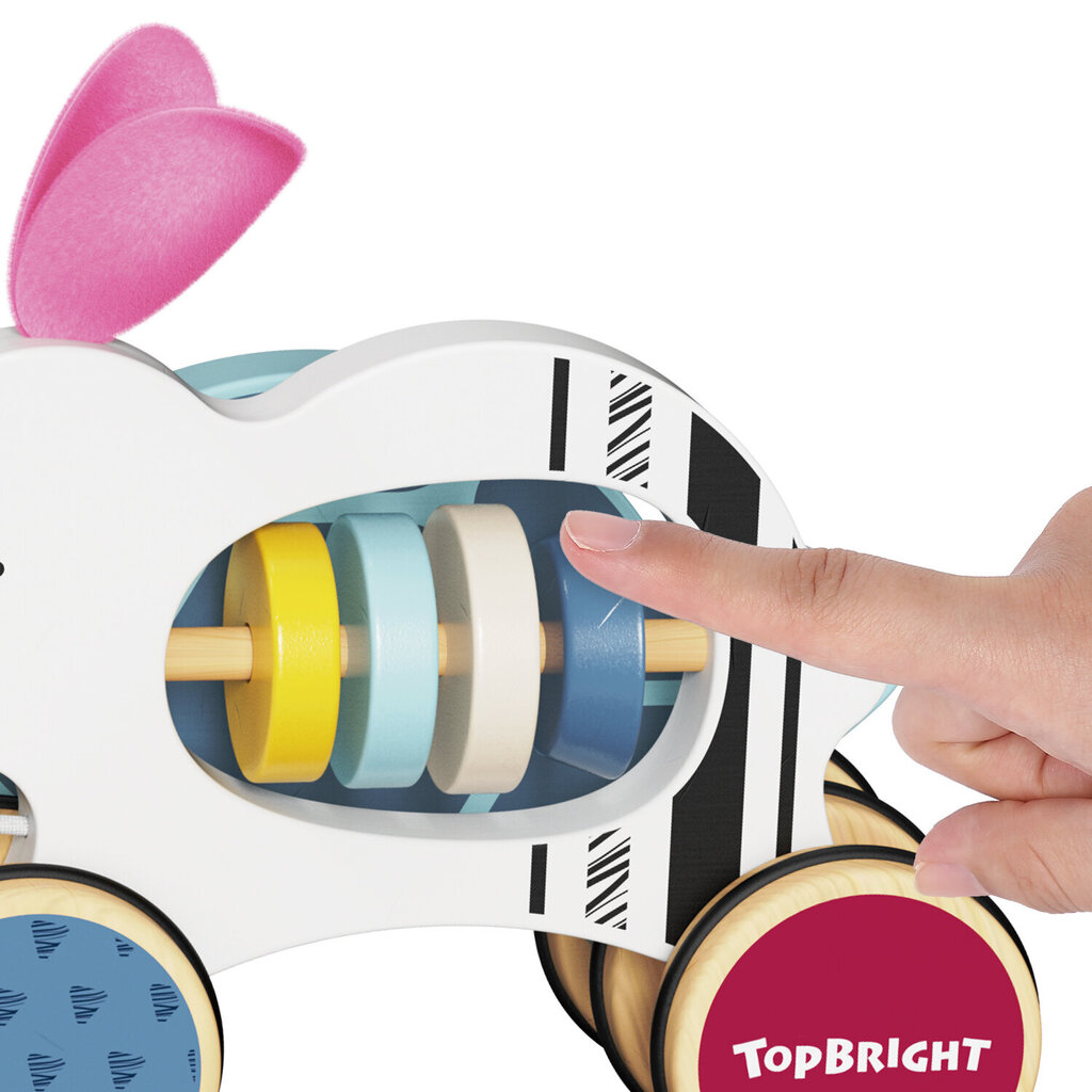 Mänguasi TopBright Võidujooks jänese ja kilpkonna vahel hind ja info | Beebide mänguasjad | hansapost.ee