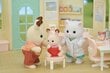 Kingikomplekt Sylvanian Families Village Doctor цена и информация | Mänguasjad poistele | hansapost.ee