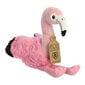 Pehme mänguasi Aurora Eco Nation Flamingo, 24 cm цена и информация |  Pehmed mänguasjad ja kaisukad | hansapost.ee