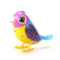 Interaktiivne lind puuriga Silverlit Digibirds hind ja info | Mänguasjad tüdrukutele | hansapost.ee