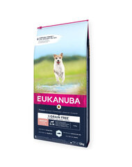 Eukanuba Grain Free Senior väikest ja keskmist tõugu vanematele koertele koos ookeanikaladega, 3 kg hind ja info | Koerte kuivtoit ja krõbinad | hansapost.ee