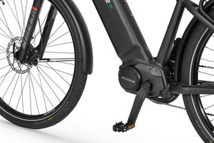Elektrijalgratas Ecobike MX 500 19", 17.5Ah, tumehall цена и информация | Электровелосипеды | hansapost.ee