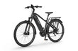 Elektrijalgratas Ecobike MX 500 19", 14.5Ah Greenway, tumehall цена и информация | Elektrijalgrattad | hansapost.ee