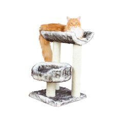 Kraapimispost Trixie Isaba, 62 cm price and information | Cat climbing trees | hansapost.ee