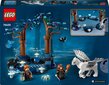 76432 Lego® Harry Potter Keelatud mets: maagilised olendid цена и информация | Klotsid ja konstruktorid | hansapost.ee