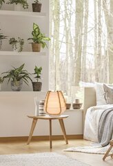 Ledea lauavalgusti Nagoja price and information | Table lamps | hansapost.ee