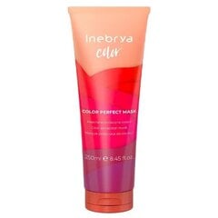 Маска для защиты цвета волос Inebrya Color Perfect, 250 мл цена и информация | Бальзамы | hansapost.ee
