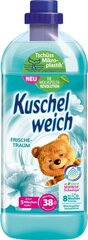 Смягчающее средство для белья Kuschelweich Frische Traum, 1 л цена и информация | Моющие средства | hansapost.ee