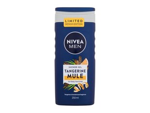 Dušigeel Nivea Men meestele, 250 ml цена и информация | Масла, гели для душа | hansapost.ee