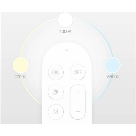 Yeelight Bluetooth Remote Control цена и информация | Laelambid | hansapost.ee