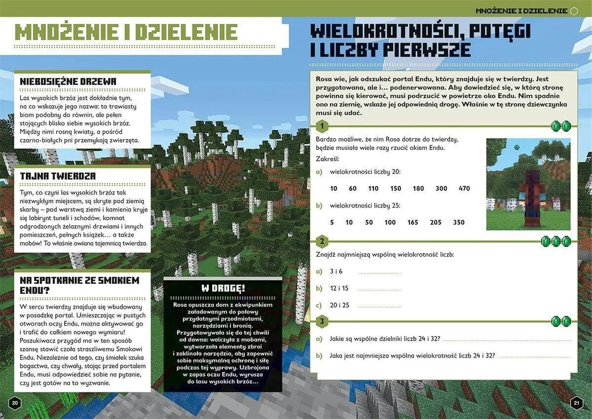 Minecraft brošüür. Matemaatika. MegaTassing. 12+ цена | hansapost.ee