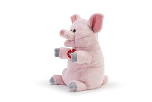 Pehme mänguasi Piglet Trudi, 26 cm hind ja info | Trudi Lastekaubad ja beebikaubad | hansapost.ee