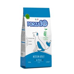 Forza10 Medium Maintenance для взрослых собак средних пород с рыбой, 12,5 кг цена и информация | Сухой корм для собак | hansapost.ee