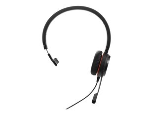 Jabra Evolve 20 SE Mono цена и информация | Наушники | hansapost.ee