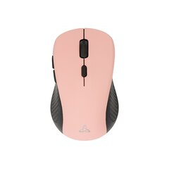 Sbox WM-993 Pink цена и информация | Компьютерные мыши | hansapost.ee