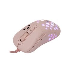 White Shark GM-5013 Azrael Pink цена и информация | Компьютерные мыши | hansapost.ee