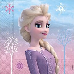 Salvrätikud "Frozen 2: Wind Spirit", 33 x 33 cm, 20 tk hind ja info | Ühekordsed nõud ja söögiriistad | hansapost.ee