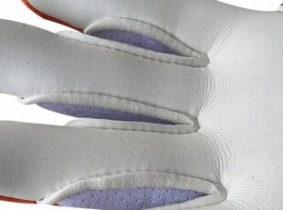 Вратарские перчатки 4keepers Equip Puesta NC, 9.5, синего цвета цена и информация | Тренировочные перчатки. Размер 5 | hansapost.ee