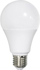 LED лампочка E27 20W 2800K Omega (43363) цена и информация | Электрические лампы | hansapost.ee