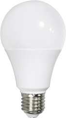 LED лампочка E27 18W 4200K Omega  цена и информация | Электрические лампы | hansapost.ee