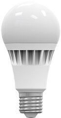 Omega LED-lamp E27 18W 6000K (43362) hind ja info | Lambipirnid ja LED-pirnid | hansapost.ee