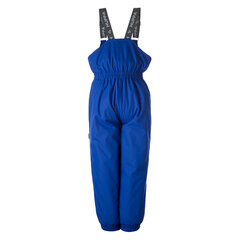 Детские штаны весна-осень Huppa FUNNY, цвет синий цена и информация | Шорты для мальчиков | hansapost.ee