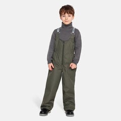 Детские утепленные весенне-осенние штаны Huppa JORMA 40g, зеленый цвет цена и информация | Шорты для мальчиков | hansapost.ee