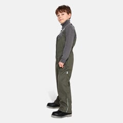 Детские утепленные весенне-осенние штаны Huppa JORMA 40g, зеленый цвет цена и информация | Шорты для мальчиков | hansapost.ee