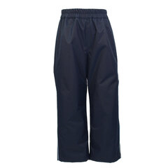 Детские весенне-осенние штаны Huppa FRIDA 1, темно-синий цвет цена и информация | Штаны для мальчиков | hansapost.ee