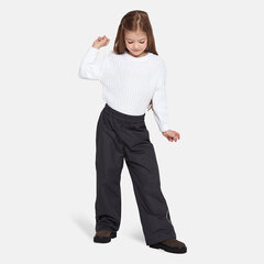 Детские утепленные штаны Huppa весна-осень FRIDA 1 40г, темно-серый цвет цена и информация | Штаны для мальчиков | hansapost.ee