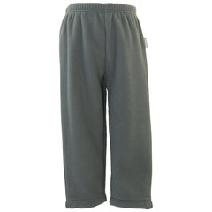 Huppa детские шерстяные штаны BILLY, цвет серый цена и информация | Штаны для мальчиков | hansapost.ee