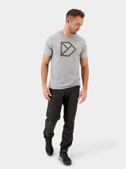 Didriksons meeste T-särk, hall price and information | T-shirts for men | hansapost.ee