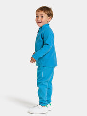 Детский шерстяной свитер Didriksons MONTE, темно-синий цвет цена и информация | Свитеры, жилетки, пиджаки для мальчиков | hansapost.ee