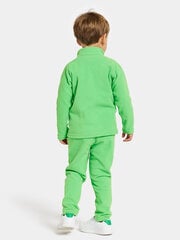 Детский шерстяной свитер Didriksons MONTE, светло-зеленый цвет цена и информация | Свитеры, жилетки, пиджаки для мальчиков | hansapost.ee