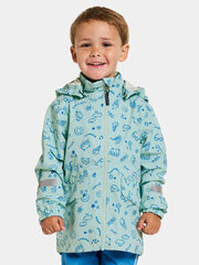 Детская куртка Didriksons весна-осень NORMA, мятный зелено-синий цвет цена и информация | Didriksons Одежда для мальчиков | hansapost.ee