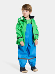 Didriksons детский резиновый комплект SLASKEMAN 2, зелено-синий цвет цена и информация | Непромокаемая одежда для детей | hansapost.ee