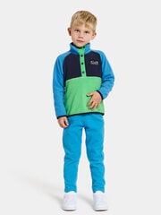 Didriksons laste fliis dressipluus MONTE HALF BUTTON 3, roheline-sinine цена и информация | Свитеры, жилетки, пиджаки для мальчиков | hansapost.ee