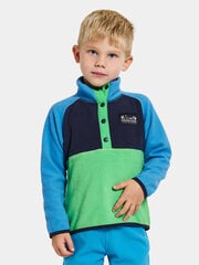 Детский шерстяной свитер Didriksons MONTE HALF BUTTON 3, зелено-синий цвет цена и информация | Didriksons Одежда для мальчиков | hansapost.ee