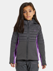 Утепленный джемпер для девочек Didriksons NEJLIKA, темно-серый цвет цена и информация | Свитеры, жилетки, пиджаки для девочек | hansapost.ee