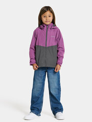 Didriksons детская весенне-осенняя куртка TERA, фиолетово-серый цвет цена и информация | Didriksons Одежда для девочек | hansapost.ee
